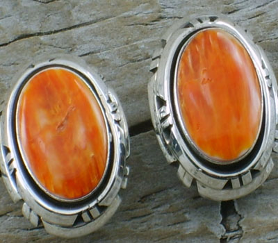 Coral & Shell